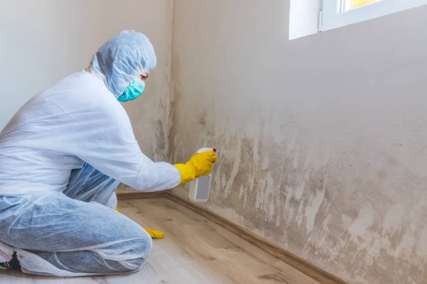 Mold inspector in Massapequa Park performing thermal imaging